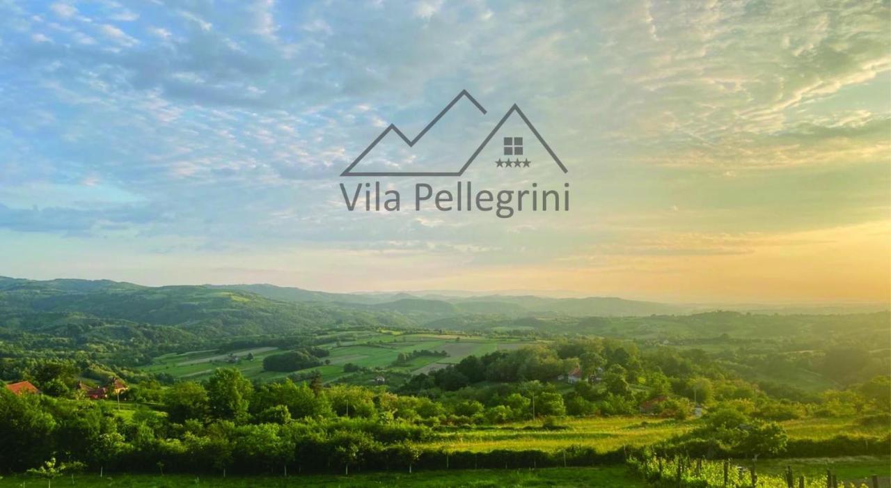 Vila Pellegrini 阿然德洛维克 外观 照片